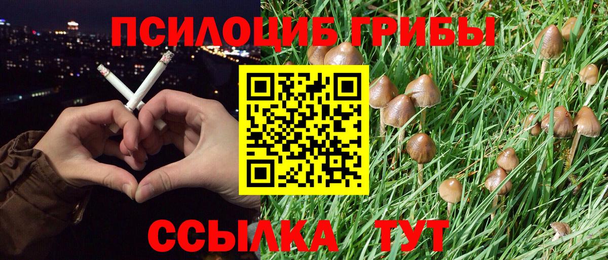 Галлюциногенные грибы Cubensis Когалым